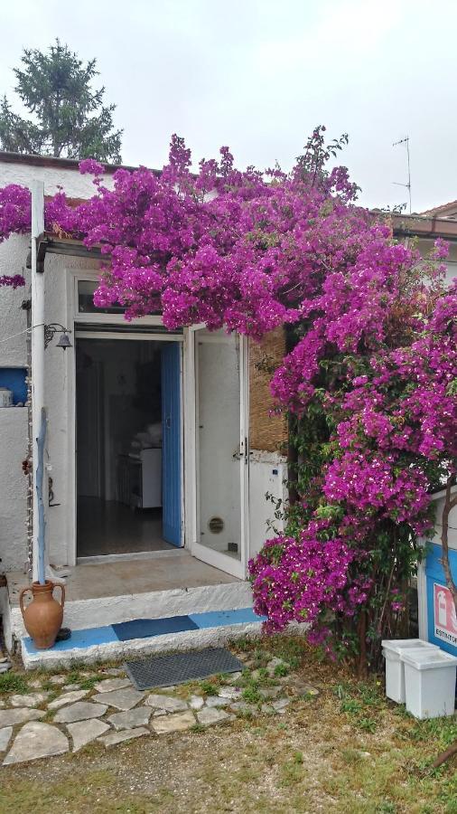 La Collina Sui Trabocchi Guest House Ortona Exterior photo