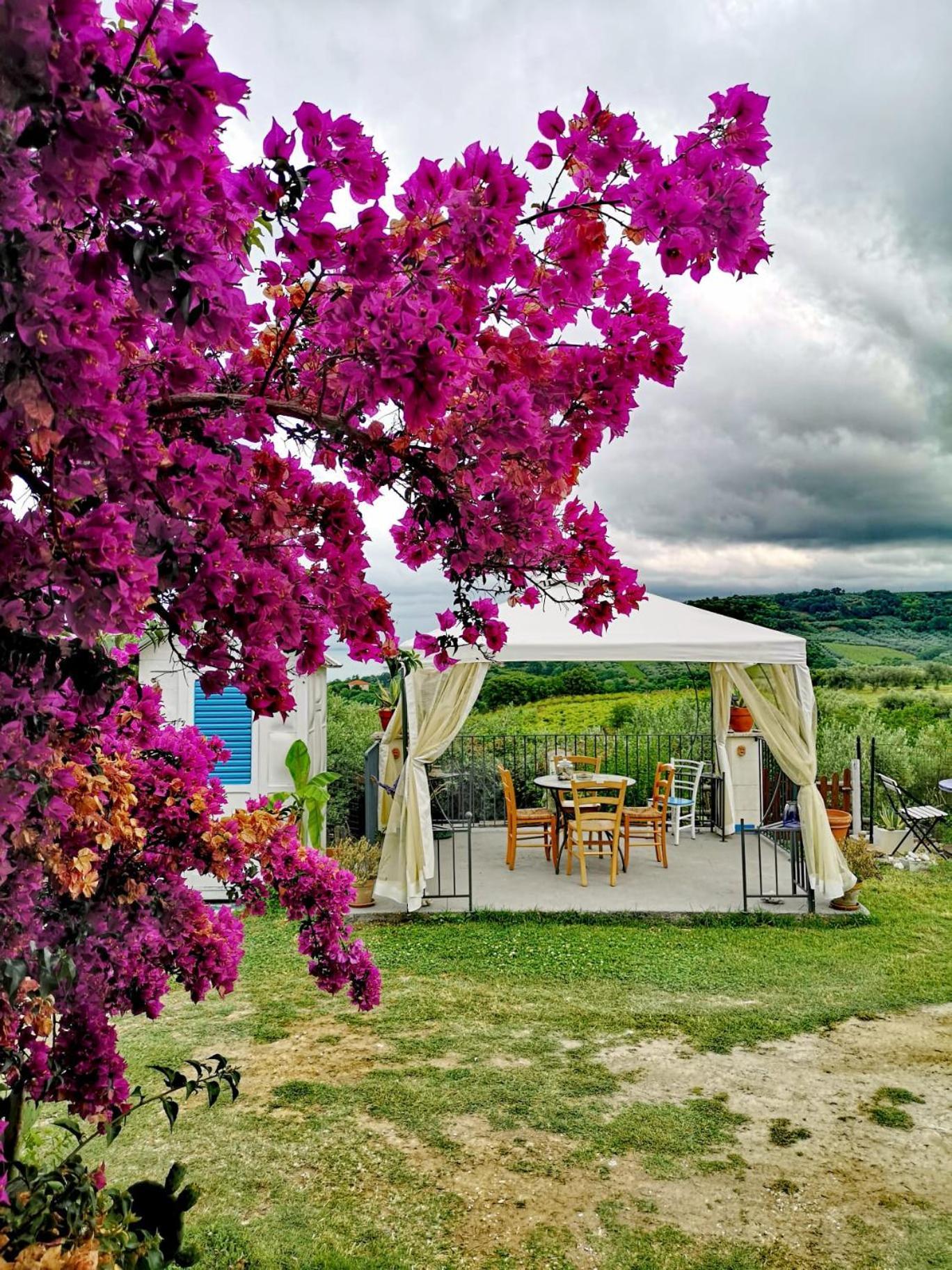 La Collina Sui Trabocchi Guest House Ortona Exterior photo