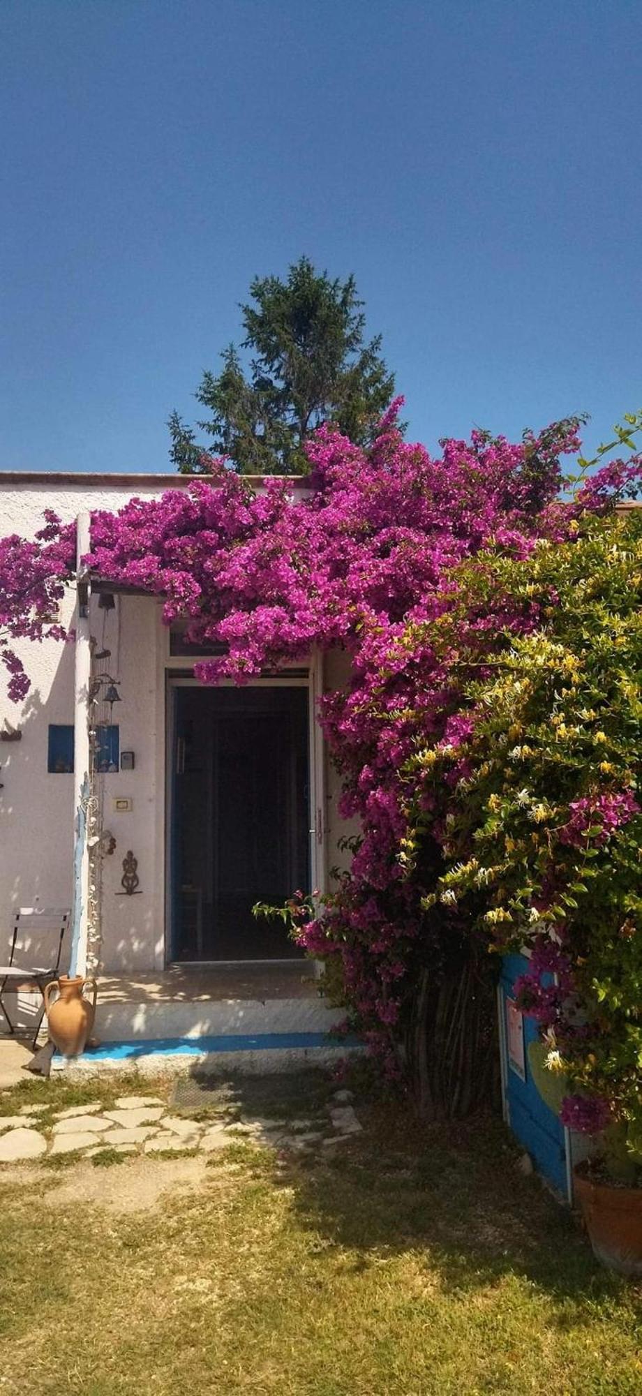 La Collina Sui Trabocchi Guest House Ortona Exterior photo